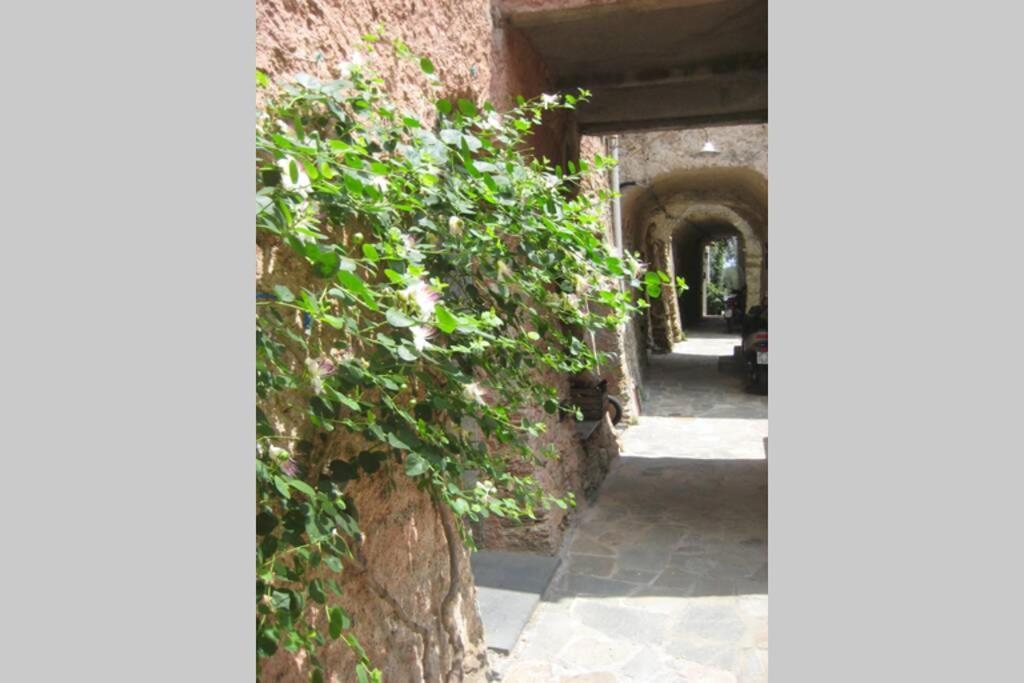 La Casa Di Sandra A Noli Exterior foto