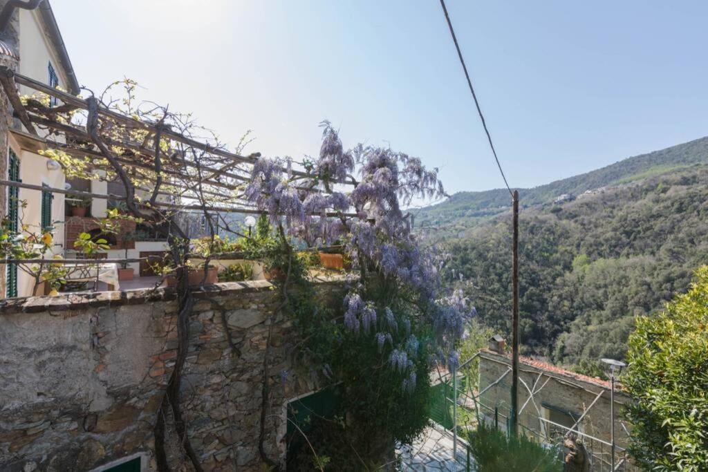 La Casa Di Sandra A Noli Exterior foto